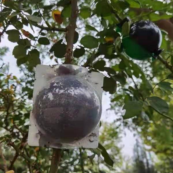 produttore di radici di bola di giardinu